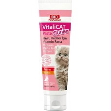 BİO PETACTİVE VİTALİCAT JUNİOR CAT VİTAMİN MACUNU 100 ML